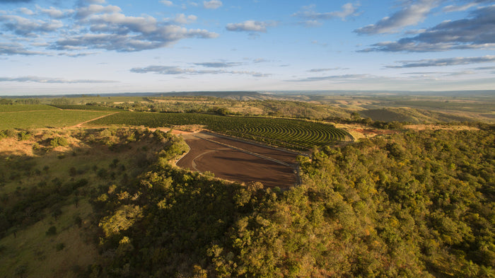 In Conversation with Orange Brown (and more!)