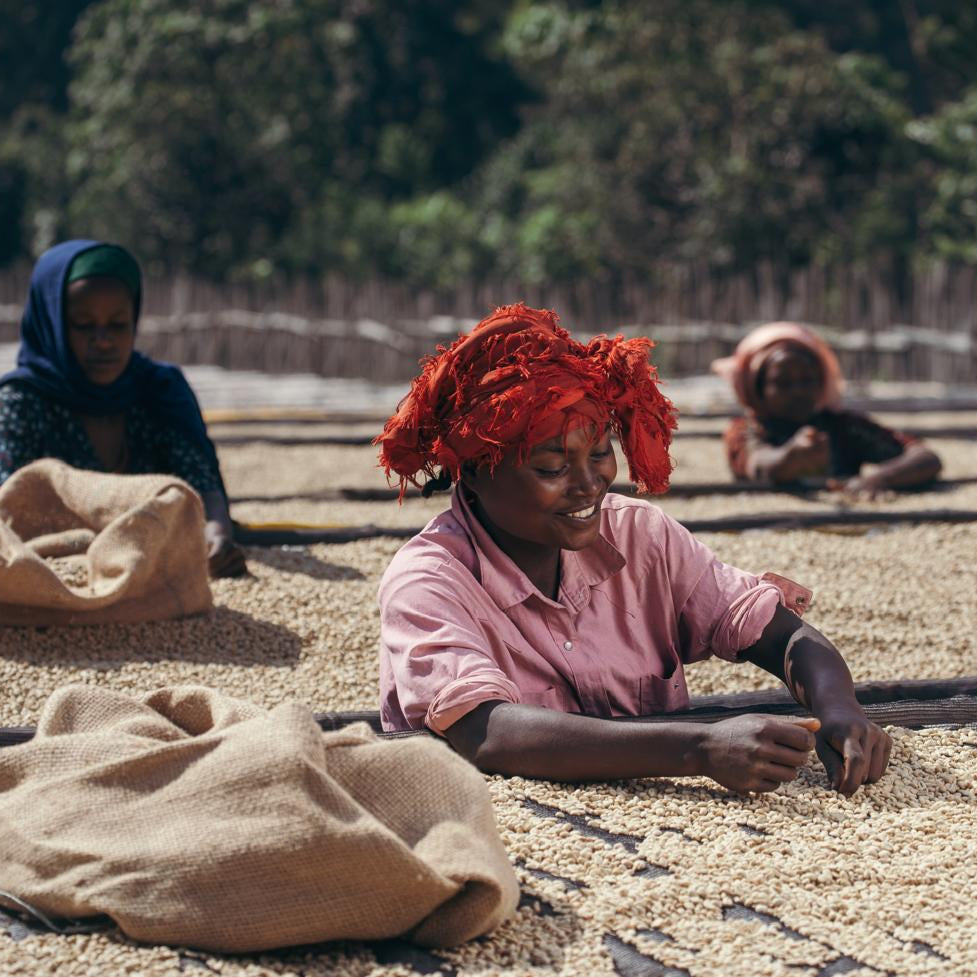ETHIOPIA - Ayla Shantawene - Natural