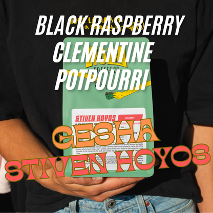 NEW* COLOMBIA - Stiven Hoyos - Washed Gesha