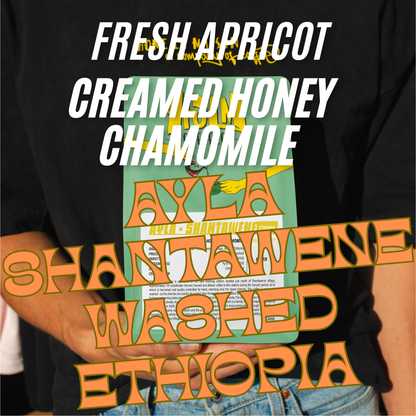 ETHIOPIA - Ayla Shantawene - Washed