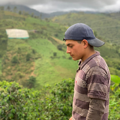 NEW* COLOMBIA - Stiven Hoyos - Washed Gesha