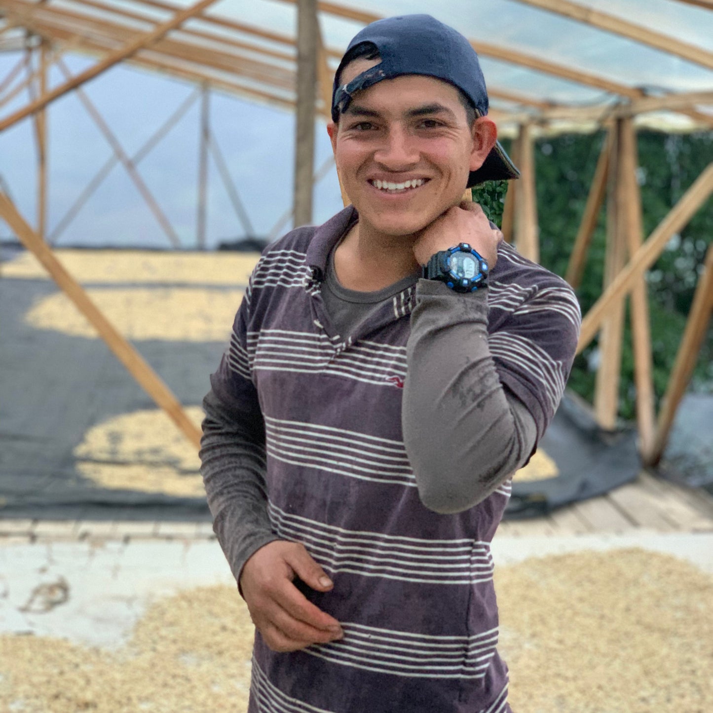 NEW* COLOMBIA - Stiven Hoyos - Washed Gesha