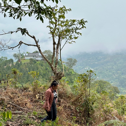 COLOMBIA - Diana Quinayas