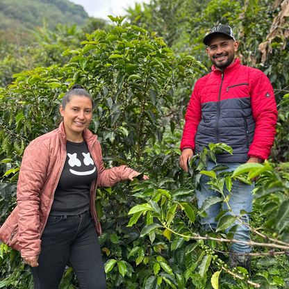 COLOMBIA - Diana Quinayas