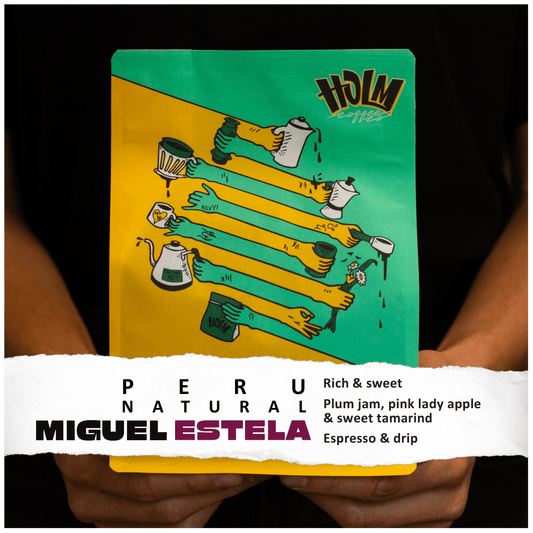 PERU - MIGUEL ESTELA CHILCON
